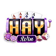 haywinstore