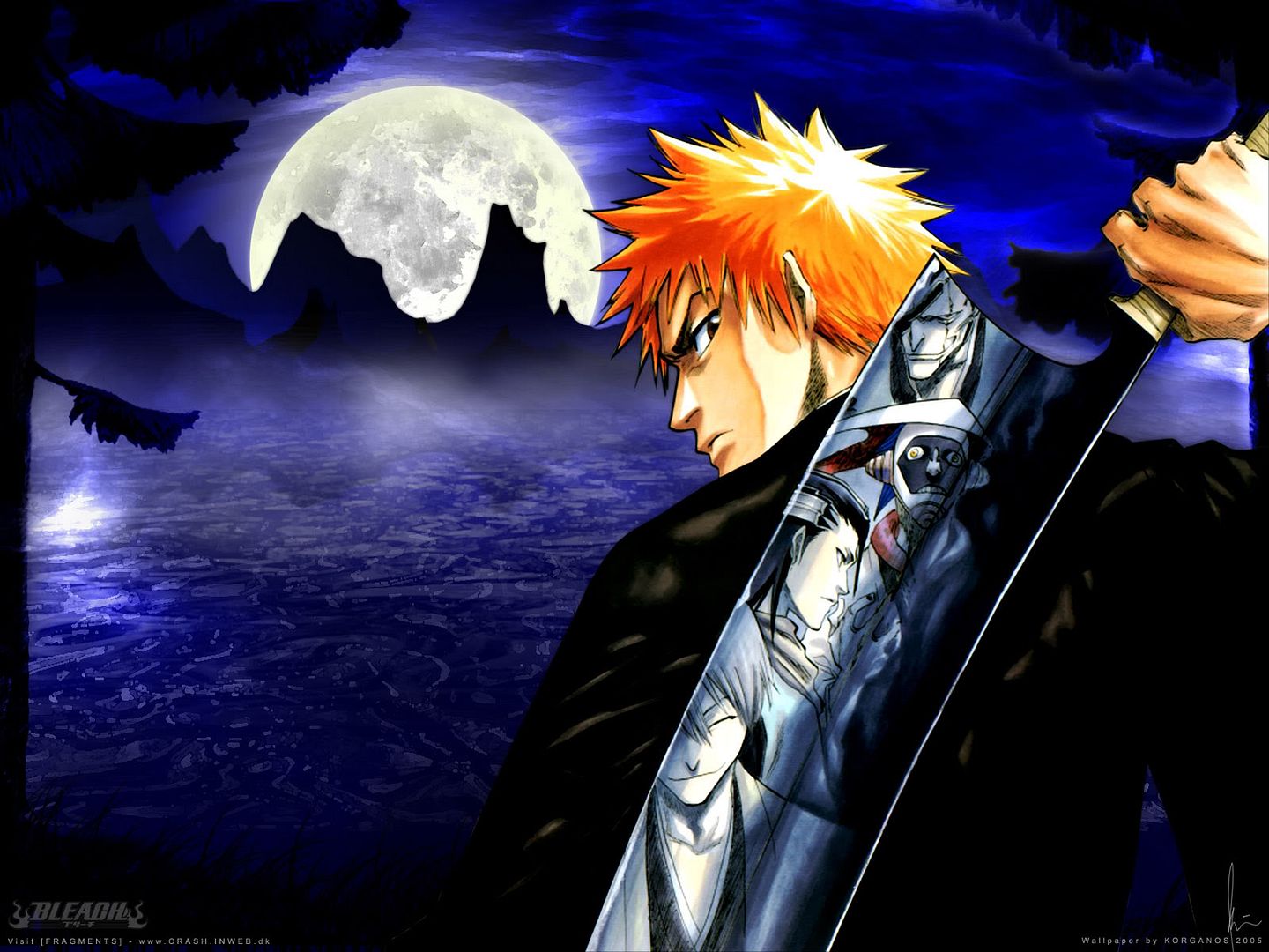 bleach-myIchigo1600.jpg